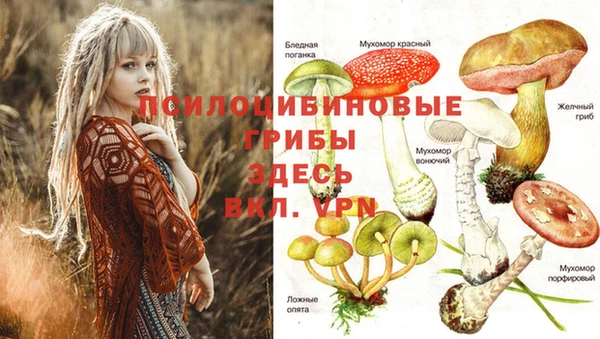 MESCALINE Строитель